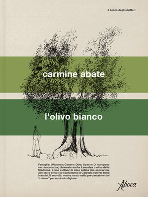 cover image of L'olivo bianco